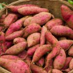 Como cultivar batata-doce na água: aprenda dicas infalíveis para cuidar desse tubérculo - reprodução: Canva