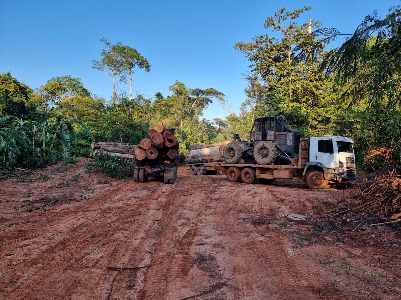 Operação apreendeu 15 caminhões carregados de madeira ilegal, tratores e motos no interior de MT