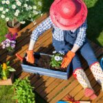 3 dicas práticas para cuidar do seu jardim - reprodução: Canva