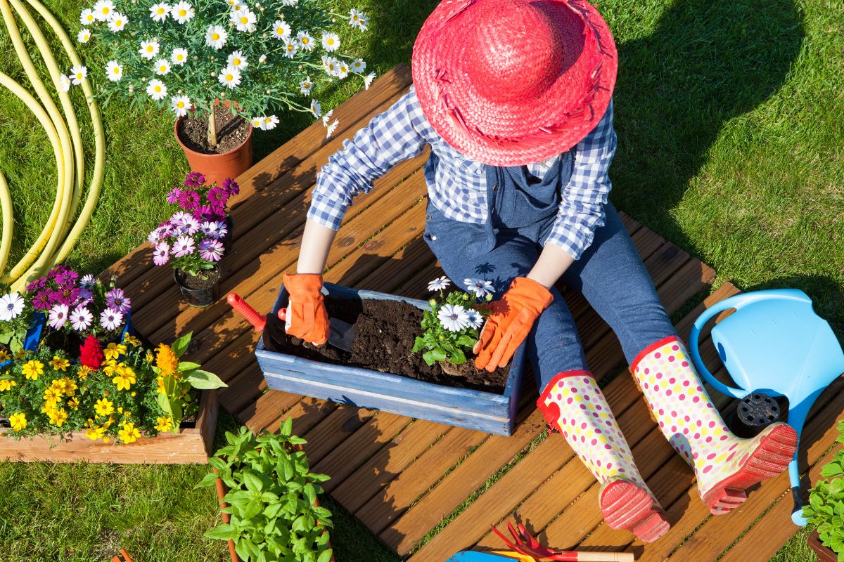 3 dicas práticas para cuidar do seu jardim - reprodução: Canva