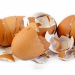 Descubra a formas correta de utilizar casca de ovos em plantas - reprodução Canva