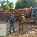 Ação integrada apreende caminhão carregado de madeira irregular em MT