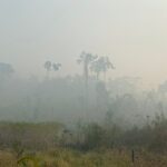 Gaeco Ambiental e Estado fazem operação após denúncia de incêndio criminoso