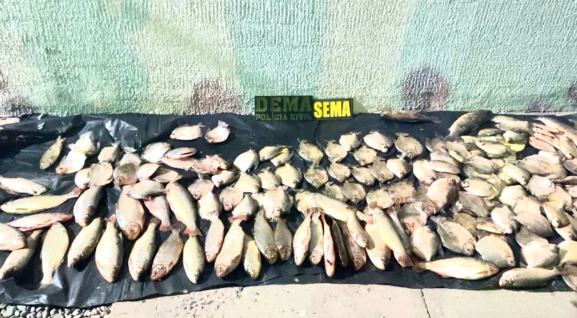 Operação apreende 34 quilos de pescado fora da medida no interior de MT