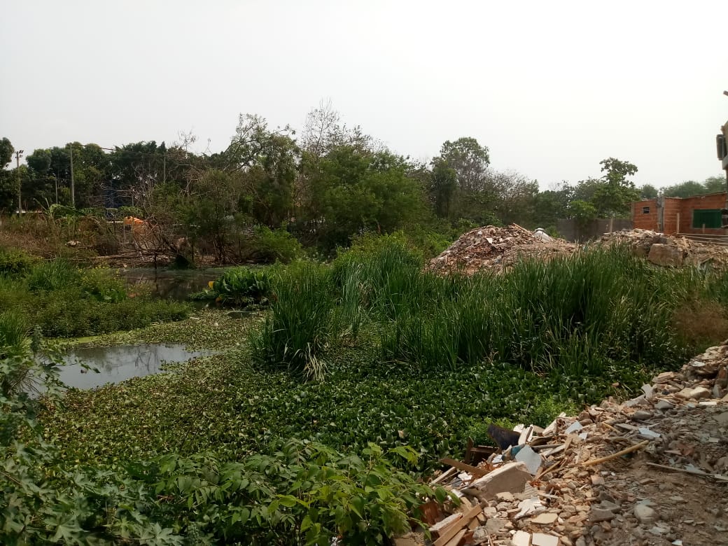 Descarte de resíduo de construção em área de lagoa é encontrado no município de VG 
