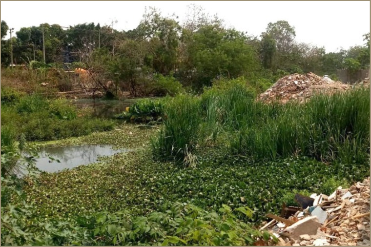 MPMT aciona município de VG e manda desocupar construções na área da lagoa da Feb